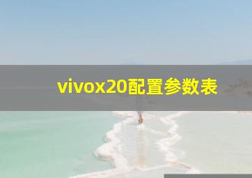 vivox20配置参数表