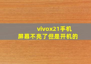 vivox21手机屏幕不亮了但是开机的