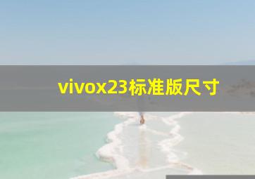 vivox23标准版尺寸