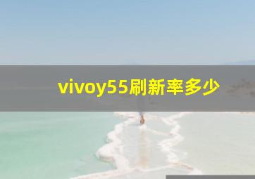 vivoy55刷新率多少