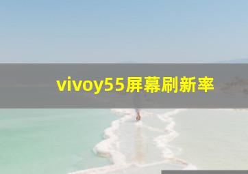 vivoy55屏幕刷新率