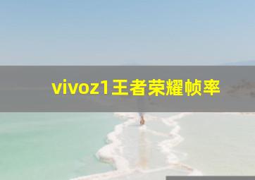 vivoz1王者荣耀帧率