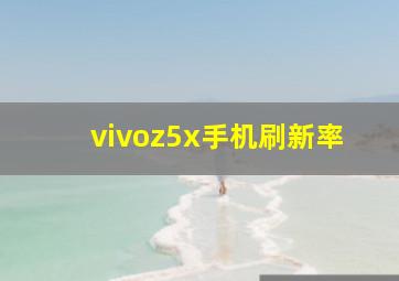 vivoz5x手机刷新率