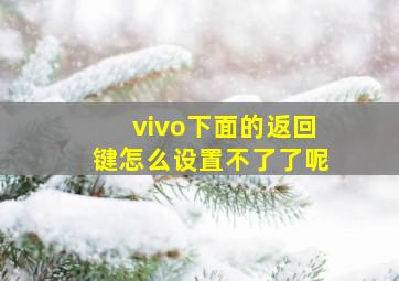 vivo下面的返回键怎么设置不了了呢