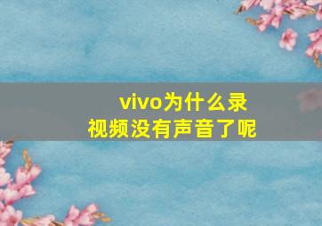 vivo为什么录视频没有声音了呢