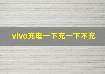 vivo充电一下充一下不充