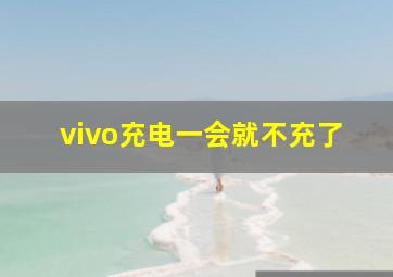 vivo充电一会就不充了