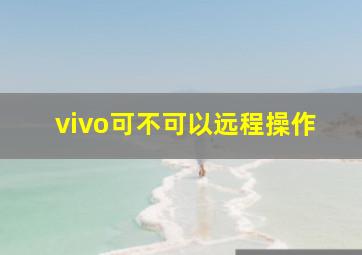 vivo可不可以远程操作