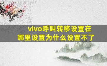 vivo呼叫转移设置在哪里设置为什么设置不了