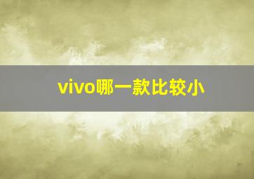 vivo哪一款比较小