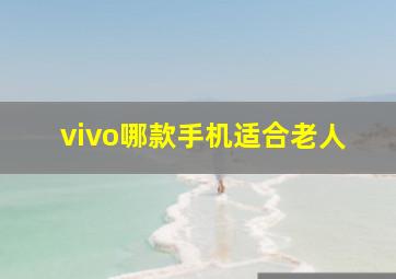 vivo哪款手机适合老人