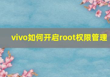 vivo如何开启root权限管理