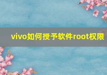 vivo如何授予软件root权限