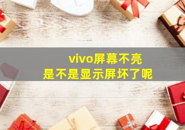 vivo屏幕不亮是不是显示屏坏了呢