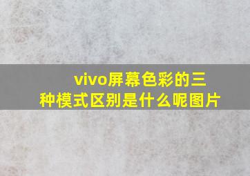 vivo屏幕色彩的三种模式区别是什么呢图片