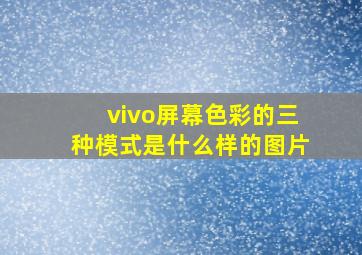 vivo屏幕色彩的三种模式是什么样的图片