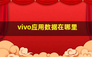 vivo应用数据在哪里