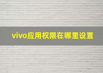 vivo应用权限在哪里设置