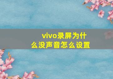 vivo录屏为什么没声音怎么设置