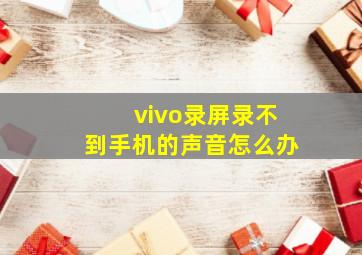 vivo录屏录不到手机的声音怎么办