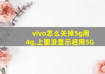 vivo怎么关掉5g用4g,上面没显示启用5G