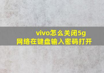 vivo怎么关闭5g网络在键盘输入密码打开