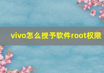 vivo怎么授予软件root权限