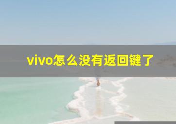 vivo怎么没有返回键了