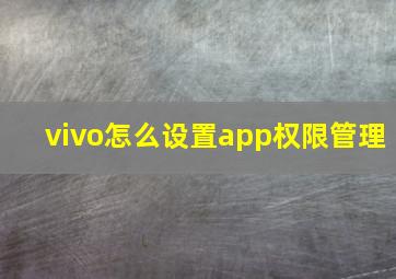 vivo怎么设置app权限管理