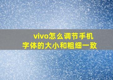 vivo怎么调节手机字体的大小和粗细一致