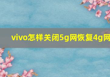 vivo怎样关闭5g网恢复4g网