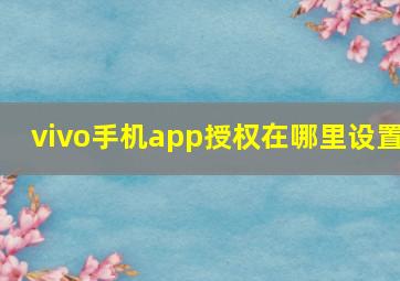 vivo手机app授权在哪里设置