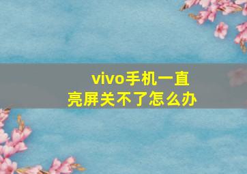 vivo手机一直亮屏关不了怎么办