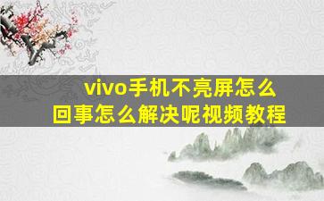 vivo手机不亮屏怎么回事怎么解决呢视频教程