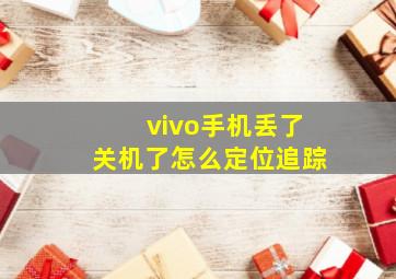 vivo手机丢了关机了怎么定位追踪