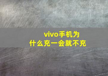 vivo手机为什么充一会就不充