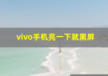 vivo手机亮一下就黑屏