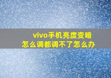 vivo手机亮度变暗怎么调都调不了怎么办