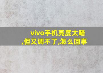 vivo手机亮度太暗,但又调不了,怎么回事