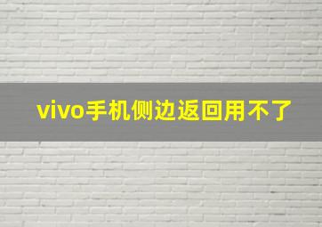 vivo手机侧边返回用不了