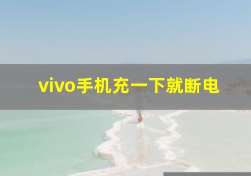 vivo手机充一下就断电