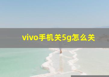 vivo手机关5g怎么关