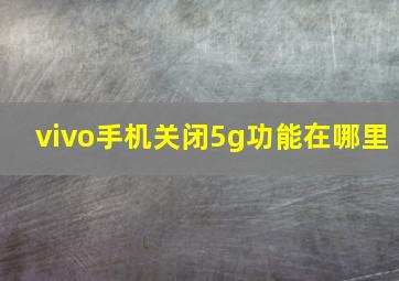 vivo手机关闭5g功能在哪里