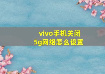 vivo手机关闭5g网络怎么设置