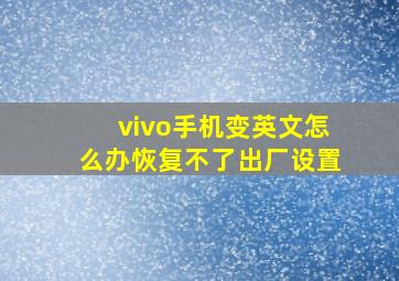 vivo手机变英文怎么办恢复不了出厂设置