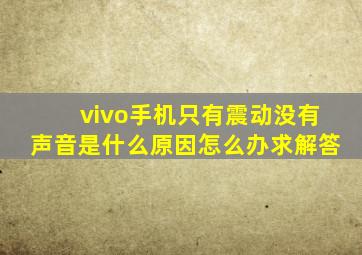 vivo手机只有震动没有声音是什么原因怎么办求解答