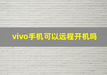 vivo手机可以远程开机吗