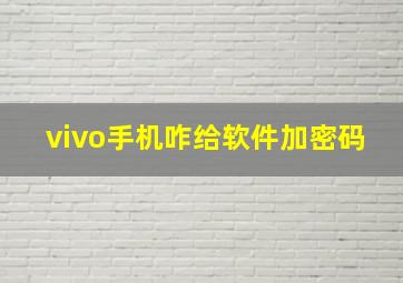 vivo手机咋给软件加密码