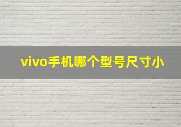 vivo手机哪个型号尺寸小