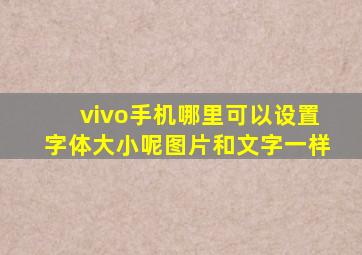 vivo手机哪里可以设置字体大小呢图片和文字一样